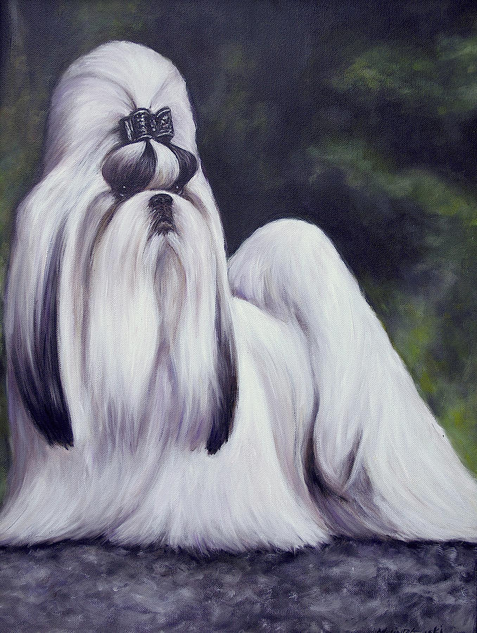 Showdog Shih Tzu Painting by Melinda Saminski