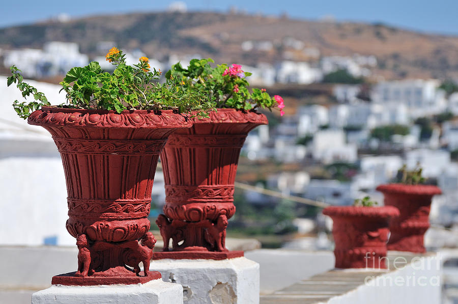 Flowerpots in Sifnos island #5 Photograph by George Atsametakis