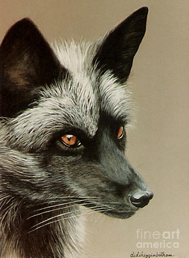 pet silver fox