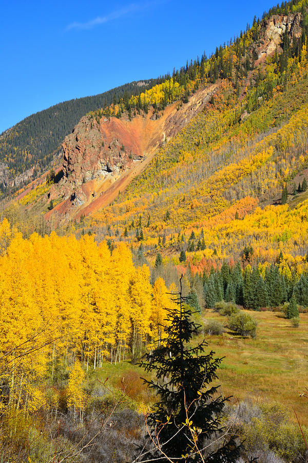 Silverton Fall Colors #3 Photograph by Ray Mathis