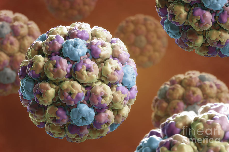 Simian Immunodeficiency Virus Photograph by Science Picture Co | Fine