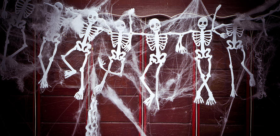 Fall Photograph - Skeletons #2 by Tom Gowanlock