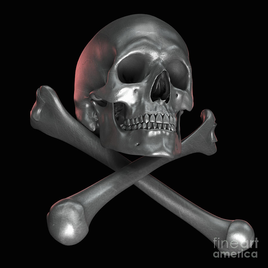 Skull And Crossbones #2 Photograph by Science Picture Co