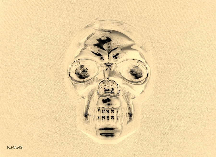 SKULL in SEPIA #2 Photograph by Rob Hans