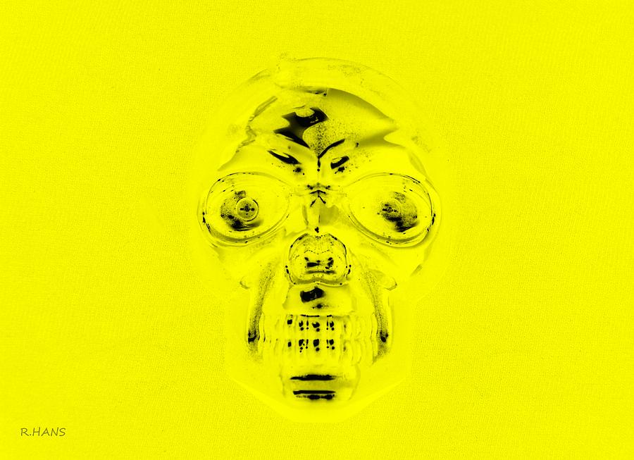 Skull In Yellow Photograph