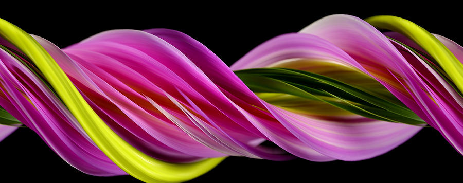 Slit-scan Image Of Dahlia Flower #2 Photograph by Ted Kinsman