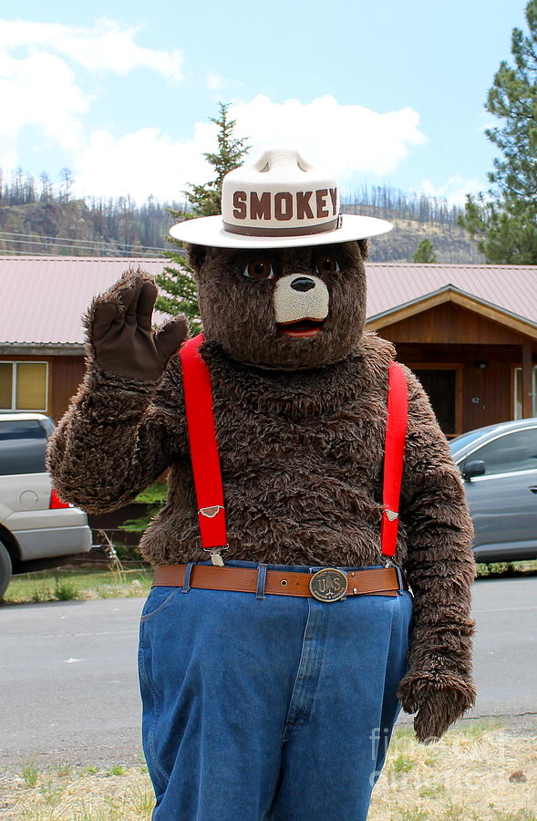 Smokey  Bear Photograph