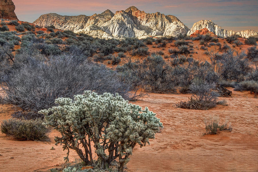 Snow Canyon State Park Utah #2 Photograph by Douglas Pulsipher