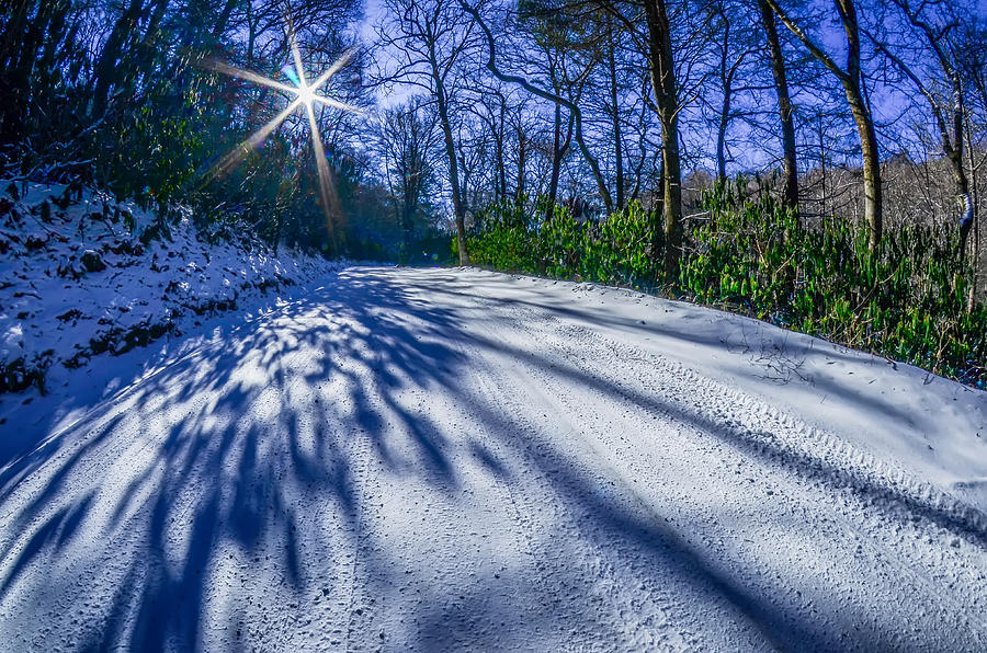 Snow Covered Road Leads Through The Wooded Forest #2 Photograph by Alex Grichenko