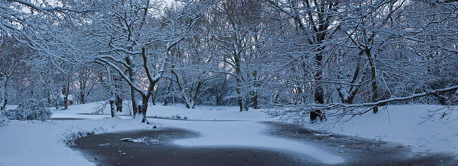 Snow Covered Trees In A Park, Hampstead #2 Photograph by Panoramic Images