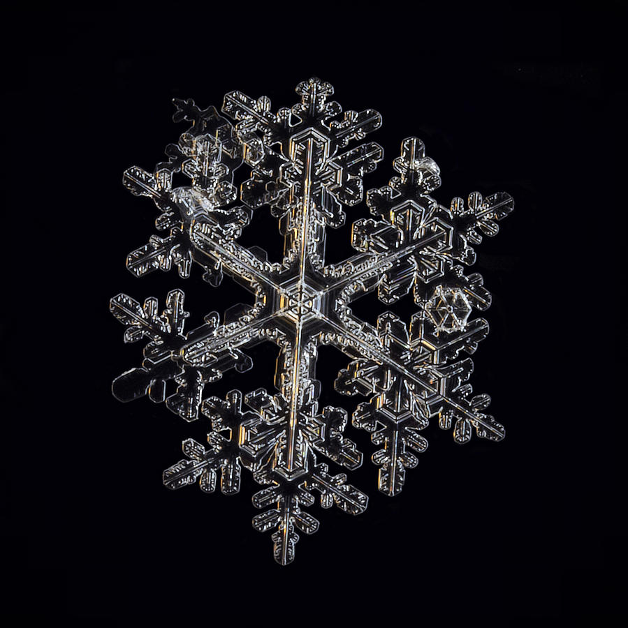 Snow Crystal #2 by L Lynch