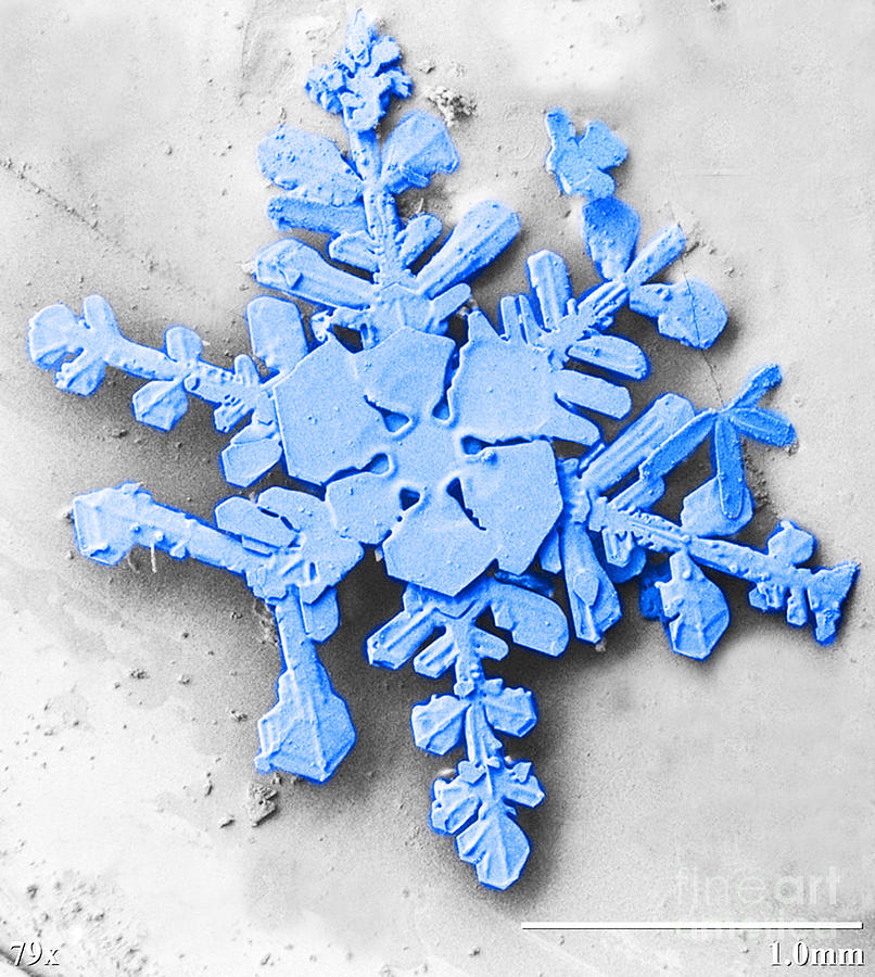 Snow Crystal, Lt-sem #2 Photograph by Science Source - Pixels
