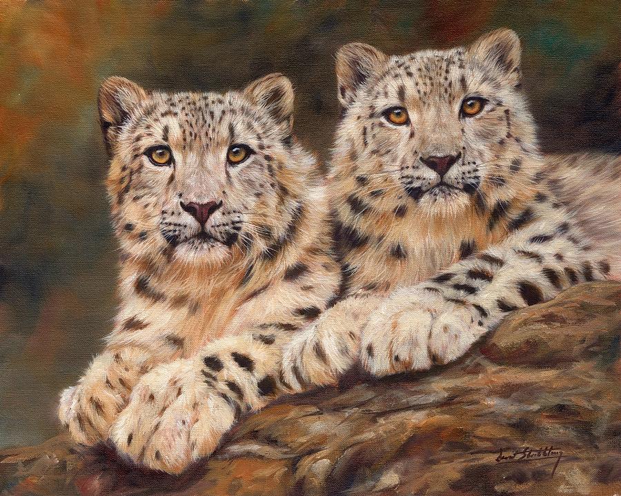 Snow Leopards #3 Painting by David Stribbling
