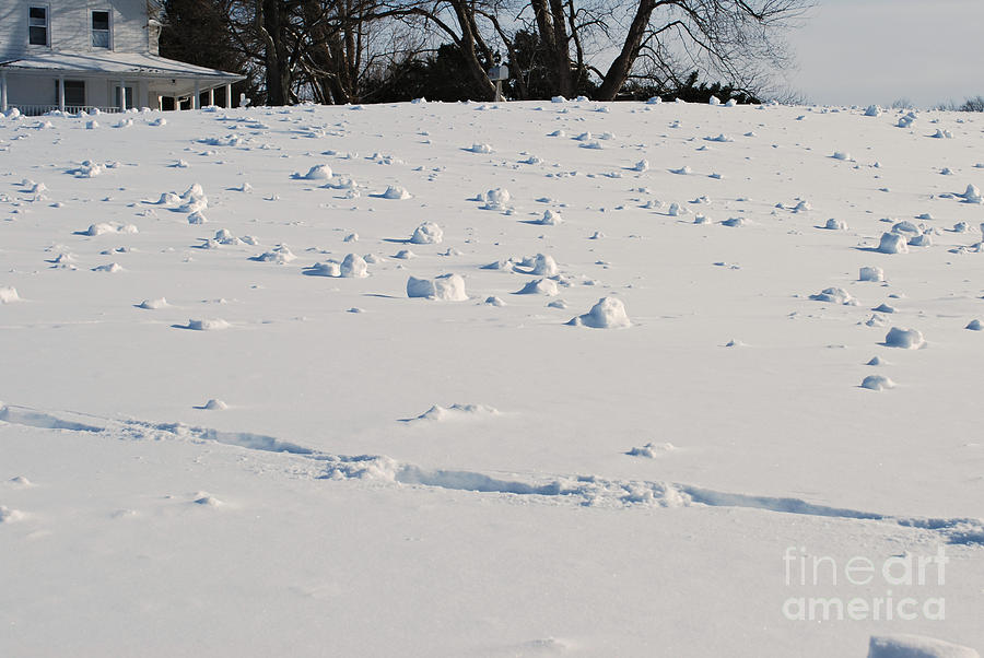 Snow Rollers #2 Photograph by Lila Fisher-Wenzel