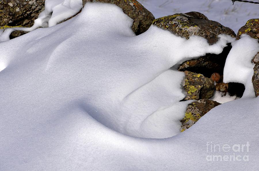 Winter Photograph - Snow #2 by Sylvie Leandre