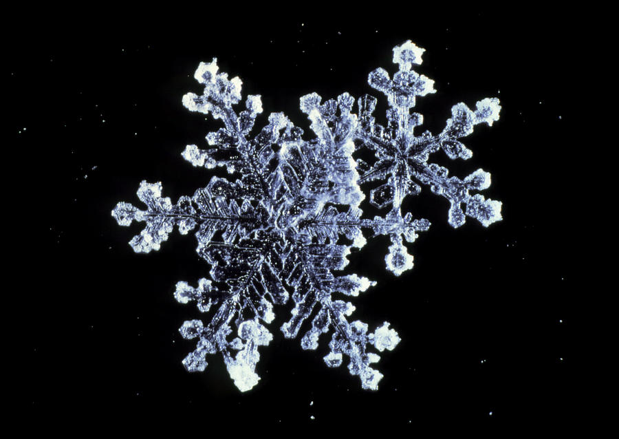 Snowflake #2 Photograph by Perennou Nuridsany