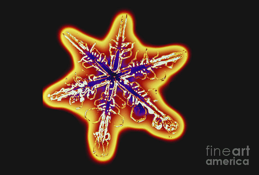 Snowflakes #2 Photograph by Scott Camazine