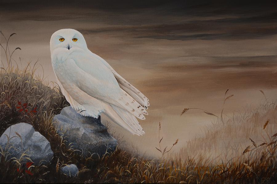 Snowy Owl Painting by Charles Owens
