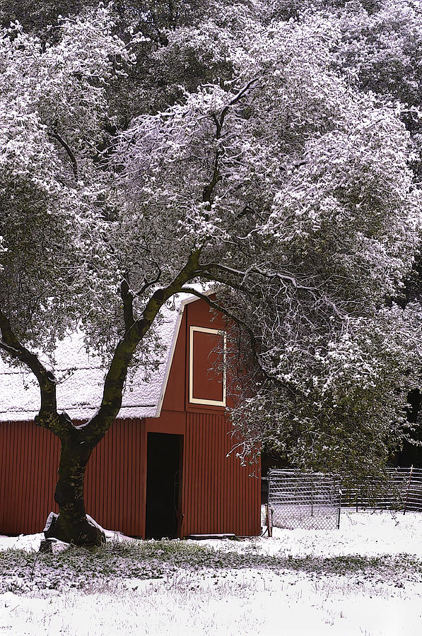 Snowy Red Barn Photograph by Sherri Meyer
