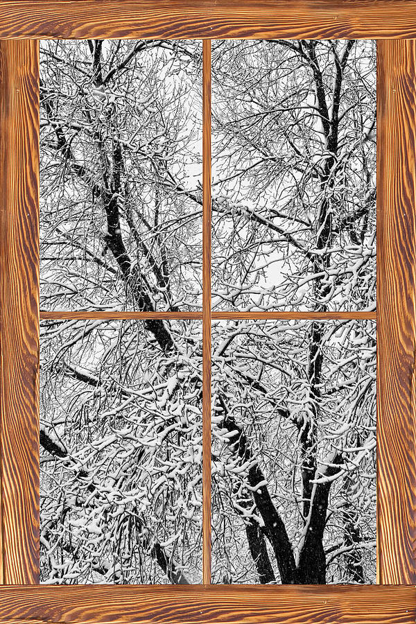 Snowy Tree Branches Barn Wood Picture Window Frame View #2 Photograph by James BO Insogna