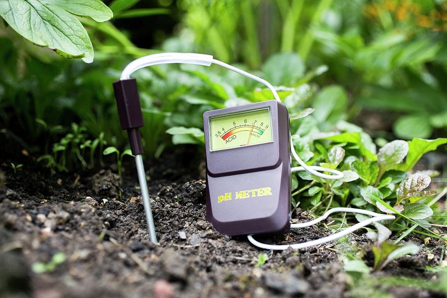 Nature Photograph - Soil Ph Meter #2 by Science Photo Library