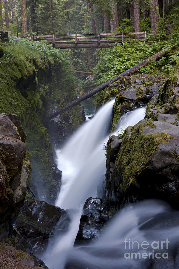 Sol Duc Falls in Olympic National Park #2 Photograph by Rick Pisio