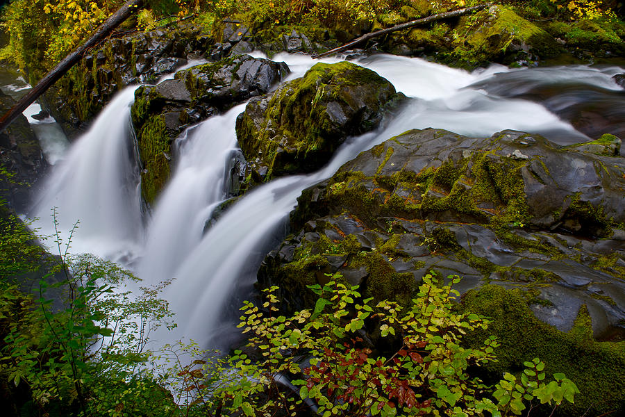 Sol Duc waterfall in Olympic NP #2 Photograph by Hisao Mogi