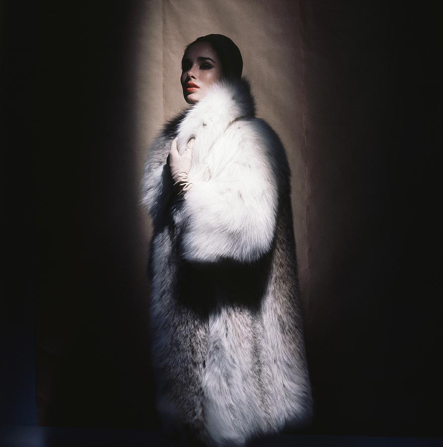 Sondra Peterson Wearing White Fur Coat #2 Photograph by Horst P. Horst