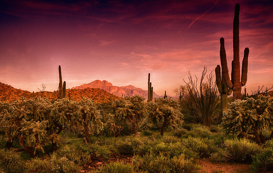 Sunset Photograph - Sonoran Desert Sunset #2 by Saija Lehtonen