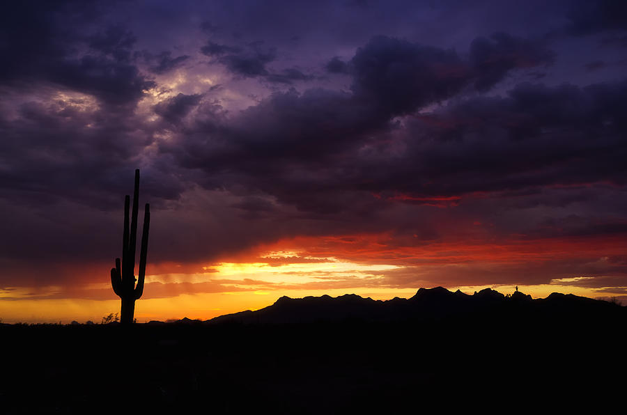 Sunset Photograph - Sonoran Skies  #4 by Saija Lehtonen