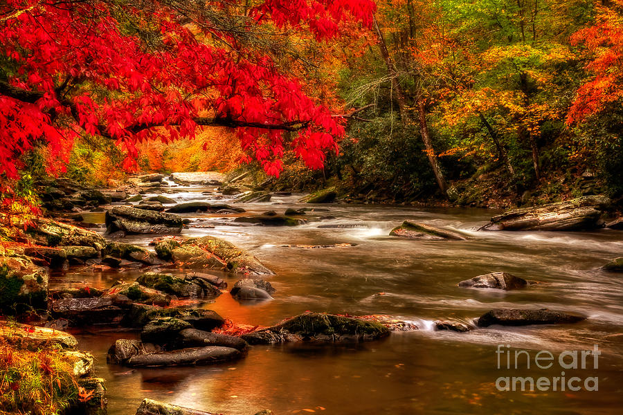Soothing Red Creek #2 Photograph by Deborah Scannell