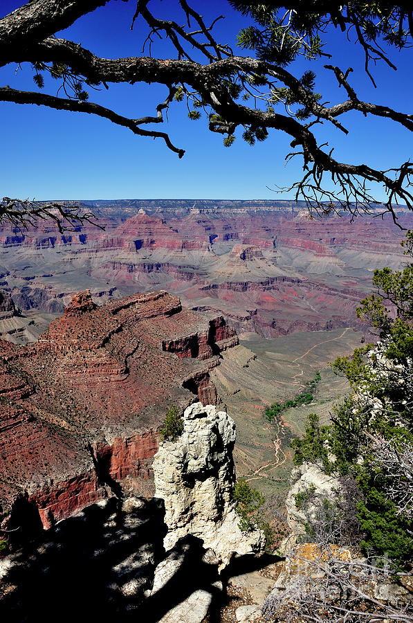 Grand Canyon National Park Photograph - South Rim of the Grand Canyon #2 by Thomas R Fletcher