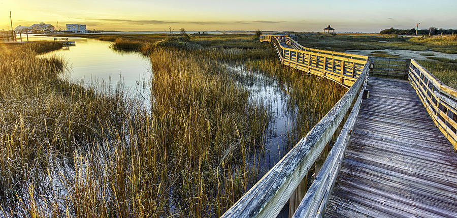 Southport Salt Marsh Walkway Photograph by Nick Noble