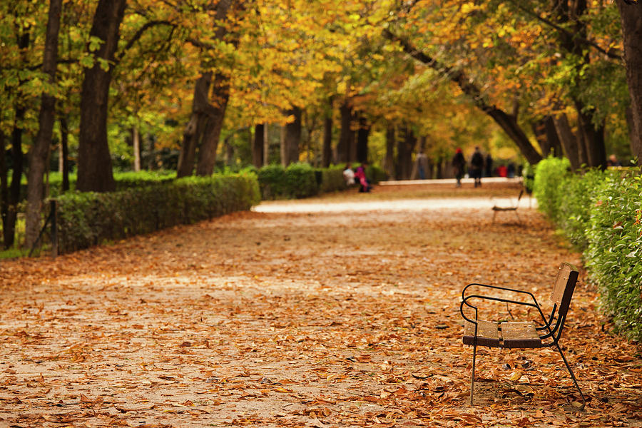 Fall Photograph - Spain, Madrid, Parque Del Buen Retiro #2 by Walter Bibikow