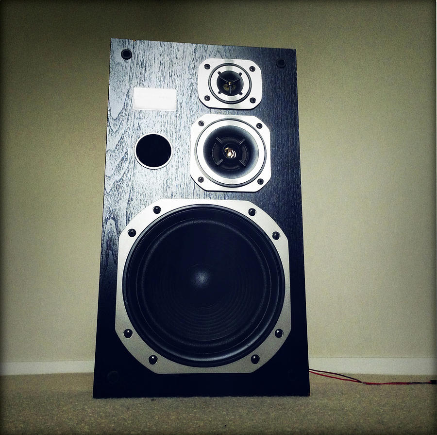 Bass Photograph - Speaker #2 by Les Cunliffe