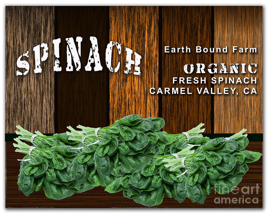 Spinach Mixed Media - Spinach Patch #2 by Marvin Blaine