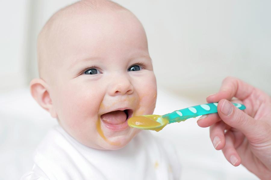 Spoon-feeding Photograph by Ian Hooton/science Photo Library - Fine Art ...