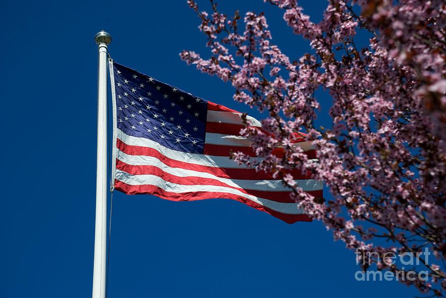 Spring Flag #2 Photograph by Mark Dodd