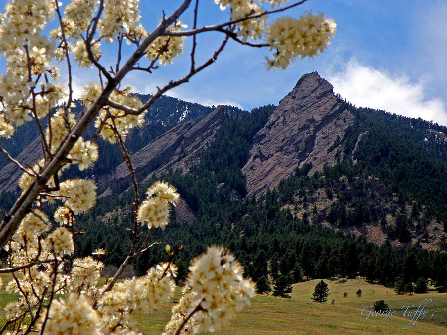 Spring Flatirons #2 Photograph by George Tuffy