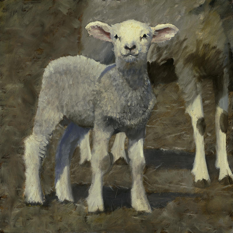 Spring Lamb #2 Painting by John Reynolds