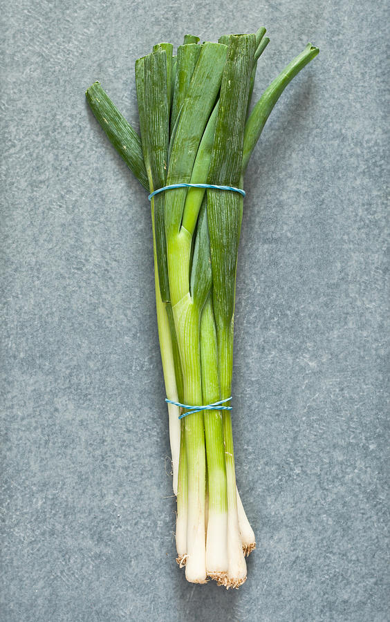 Onion Photograph - Spring onions #2 by Tom Gowanlock