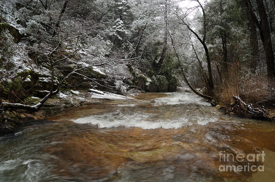 Spring Snowfall On Berry Creek, Sierras #2 Photograph by Ron Sanford