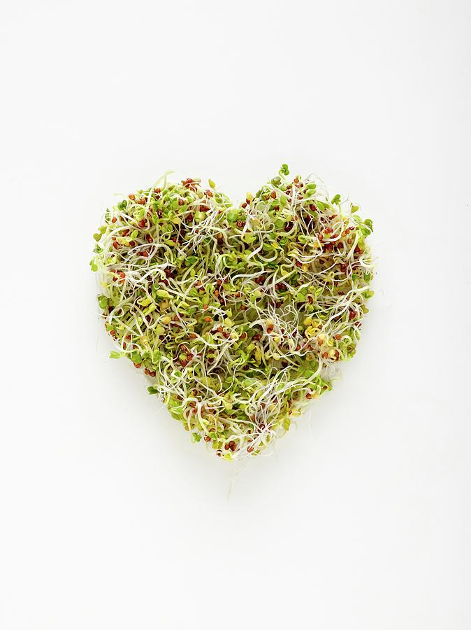 Sprouting Beans In Heart Shaped Bowl #2 Photograph by Science Photo Library