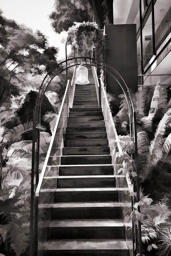 Tree Photograph - Staircase leading to a higher level in Siloso Hotel in Sentosa #2 by Ashish Agarwal