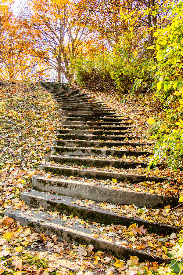 Stairway to the Sky Photograph by Lou Cardinale - Fine Art America