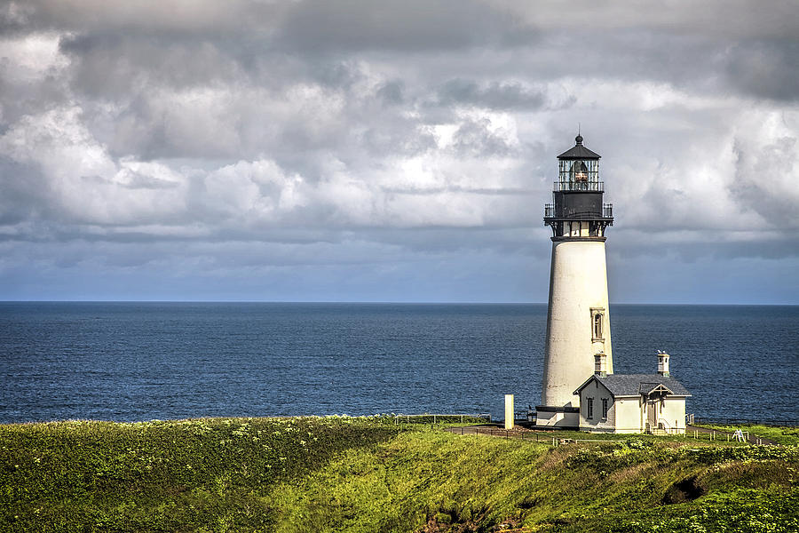 Standing Tall Photograph by Andrew Soundarajan - Fine Art America