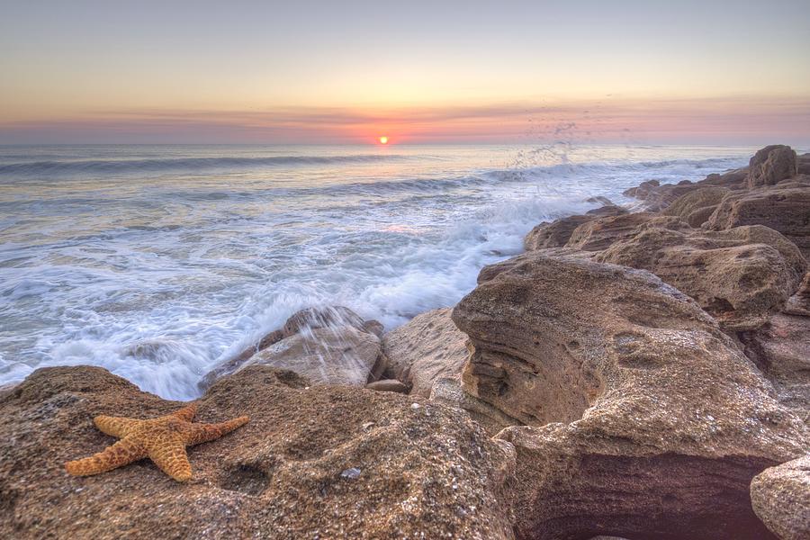 Sunset Photograph - Starfish Sunrise on the Rocks II #2 by Danny Mongosa