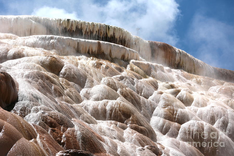 Yellowstone National Park Photograph - Steamy Mammoth Hot Springs #2 by Carol Groenen