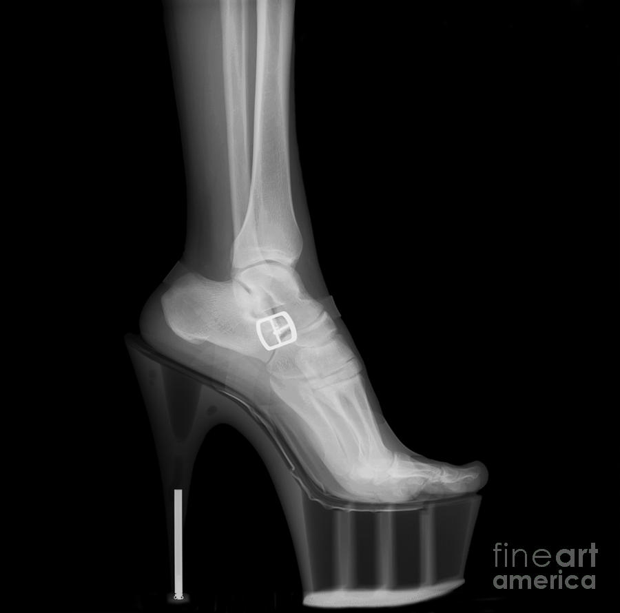 Stiletto High-Heeled Shoe #2 Photograph by Guy Viner