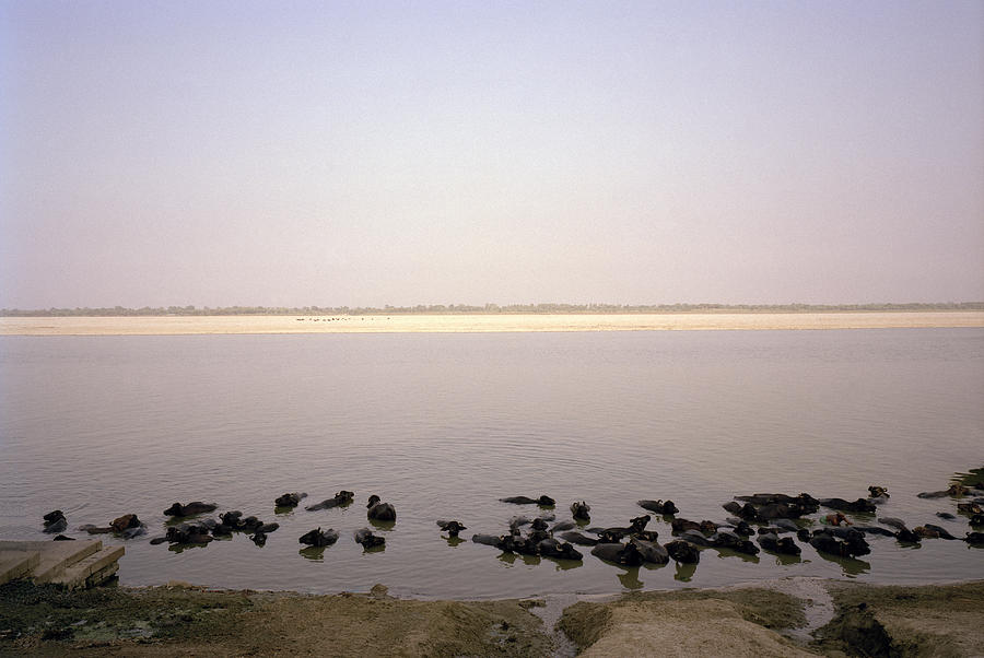 Stillness Of The Ganges Photograph by Shaun Higson